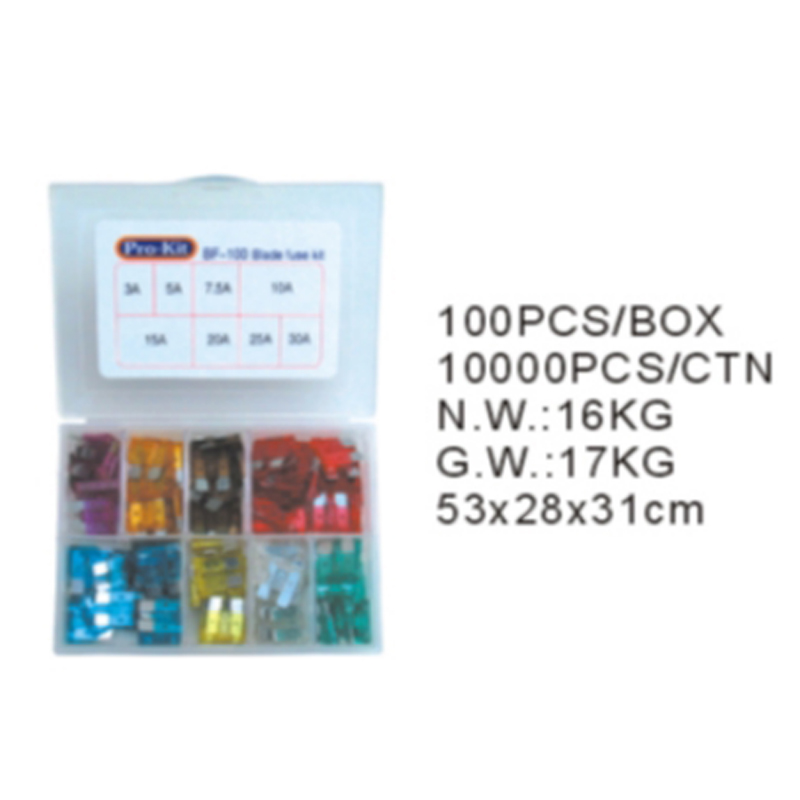 100pcs auto fuse in plastic box