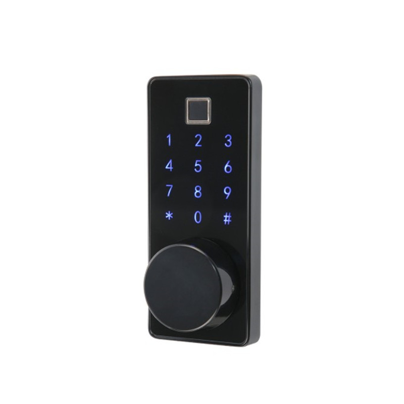 Graffiti smart lock Fingerprint lock Villa smart password lock homestay Bluetooth remote fingerprint lock home