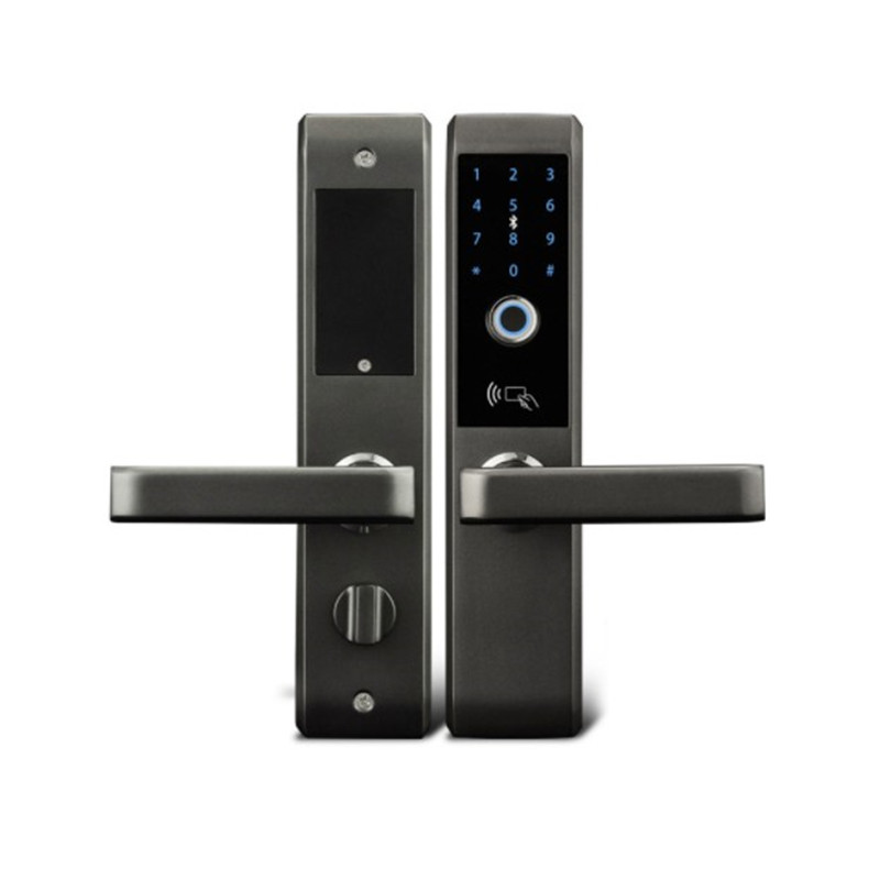 Household security door fingerprint lock Hotel Hotel graffiti intelligent password lock b&B apartment wifi fingerprint lock