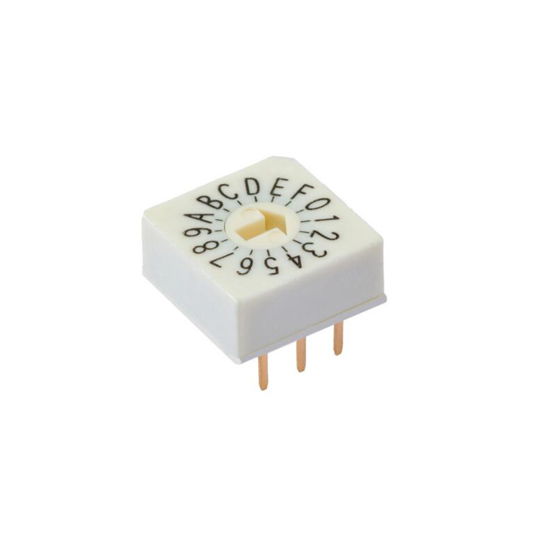 10*10 Rotary coding switch BCD DIP switch