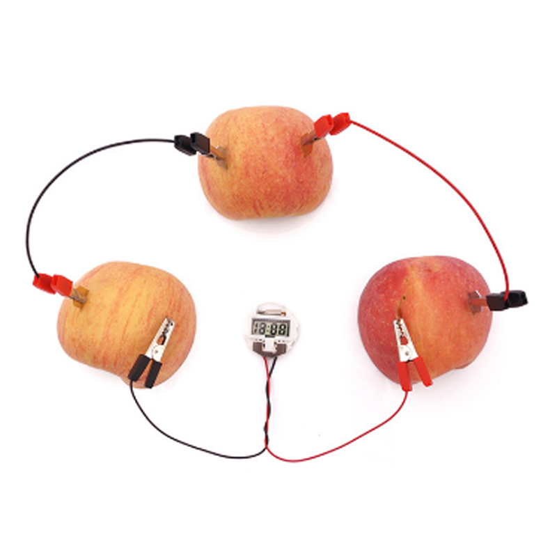 Speaker WITHOUT HARNESS,Interesting diy handmade potato fruit power science experiment material package science and technology small production steam teaching AIDS wholesale