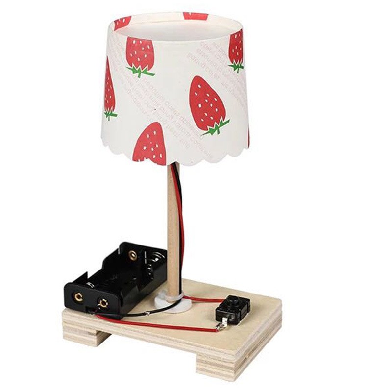Creative DIY Small Table Lamp Technology Small Production Small Invention Primary School Children Girls Handmade Materials Science Experiment