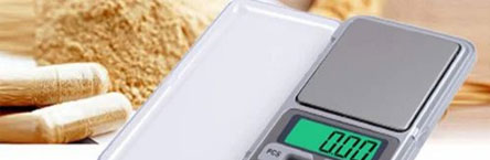portable electronic pocket scales