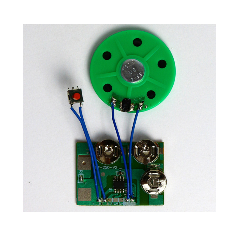 Pre-recordable custom mini recordable sound chip module for toy