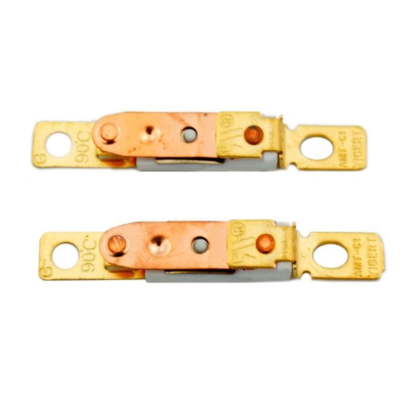 Температурный предохранитель 10A 250V RY RH SF DYE PSE