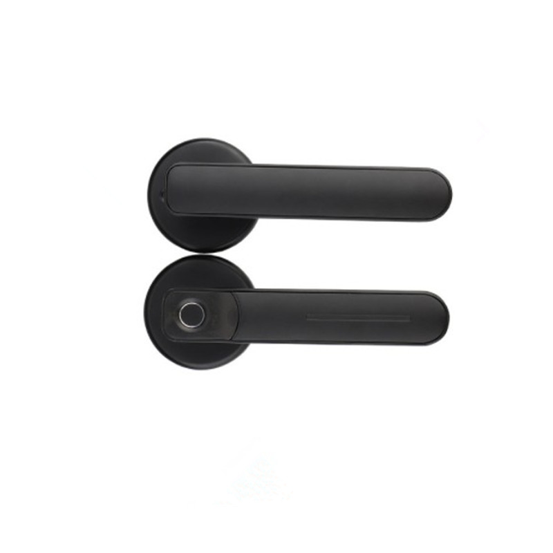 Внутренние деревянные двери, дактилоскопический замок, домашняя дверь, интеллектуальный дактилоскопический замок, оптовая квартира, квар